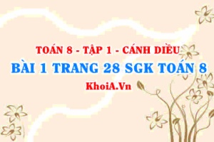 Bài 1 trang 28 SGK Toán 8 tập 1 Cánh Diều